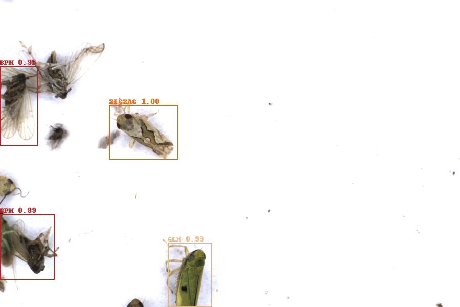 Image 9